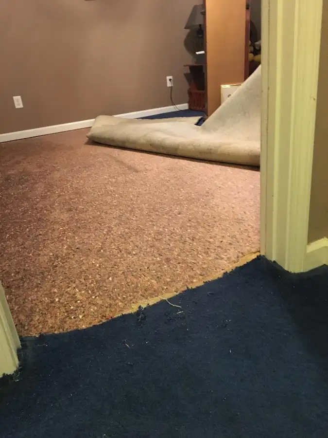 Carpet pad removal revealing water damage during Drying & Dehumidification in McCandless