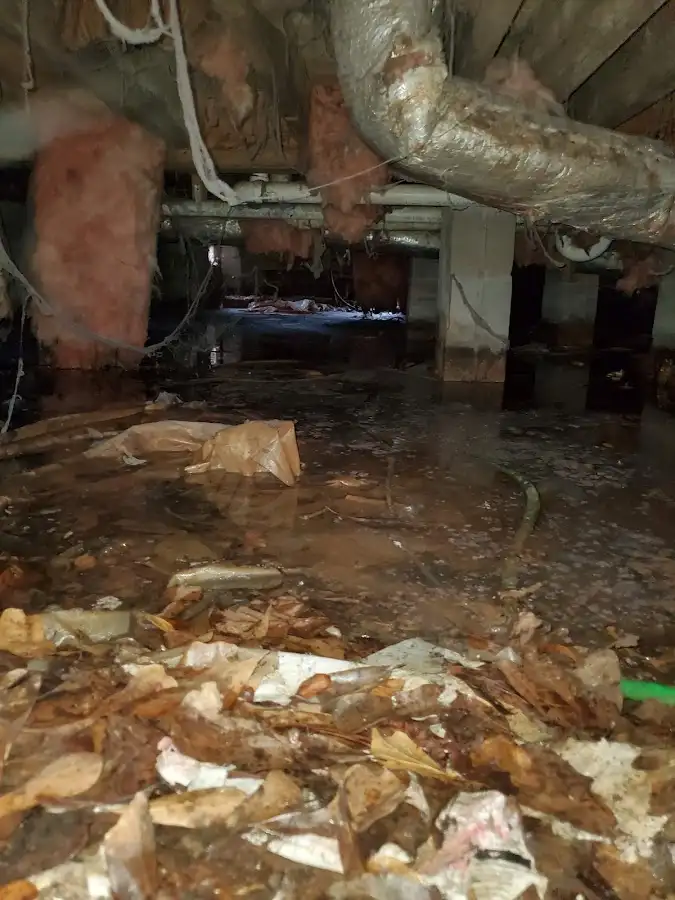 Crawl space flood assessment for Leak Detection & Repair in McCandless